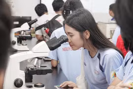 Làn sóng mở ngành Trí tuệ nhân tạo lan rộng trong tuyển sinh đại học 2026