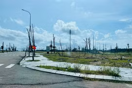 Hôm nay, hàng nghìn dự án bất động sản tồn đọng bước chờ đợi được 'giải cứu'