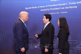 Chủ tịch nước Lương Cường gặp Tổng thống Hoa Kỳ và lãnh đạo cấp cao một số thành viên APEC