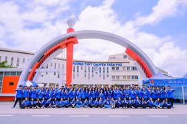 Thí sinh “trượt thành đỗ” rồi lại… trượt: Sở Giáo dục và Đào tạo Hải Phòng xin lỗi do phần mềm tuyển sinh