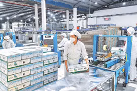 Doanh nhân, doanh nghiệp dân tộc là 'chiến sĩ trên mặt trận kinh tế'