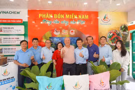 Công ty Cổ phần Phân bón Miền Nam: Bền bỉ hành trình xanh hóa vì nông nghiệp bền vững