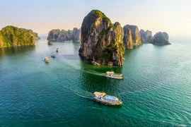 Hạ Long: Tổ chức Lễ hội Nghệ thuật vì khí hậu 2025