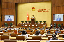Hôm nay (24/11), Quốc hội thảo luận về Luật Báo chí sửa đổi