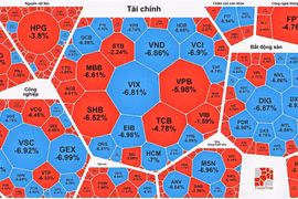 VN-Index giảm sốc hơn 4% sau phiên tạo lập mốc đỉnh lịch sử
