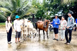 An Giang: Triển khai đồng bộ, hiệu quả Chương trình mục tiêu quốc gia giảm nghèo bền vững