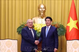 Chủ tịch nước Lương Cường tiếp Bộ trưởng Quốc phòng Thổ Nhĩ Kỳ