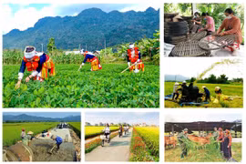 Mọi chương trình an sinh đặt dưới sự giám sát của Nhân dân, Mặt trận, Báo chí