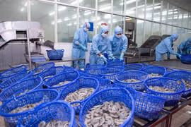 Thực phẩm Sao Ta (FMC) đà tăng trưởng hạ nhiệt, doanh thu tháng 2/2025 vẫn tăng 85%