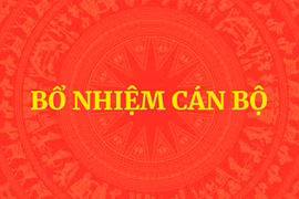 Bổ nhiệm ông Phạm Mạnh Cường giữ chức Phó Chủ nhiệm Văn phòng Chính phủ