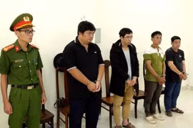 Khởi tố 5 đối tượng liên quan vụ công nhân tử vong trên trụ điện trung thế tại Khánh Hòa