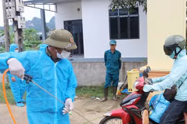 Phú Thọ: Dịch tả lợn châu Phi lan rộng 29 xã, phường, hơn 1.300 con lợn phải tiêu hủy