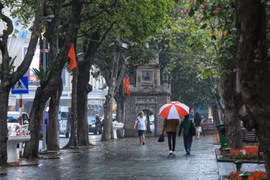 Hà Nội yêu cầu doanh nghiệp lữ hành tạm dừng tour đến khu vực có bão