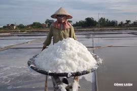Diêm dân tăng thu nhập nhờ 'phù phép' cho hạt muối