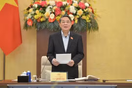 Tập trung đánh giá việc triển khai thí điểm một số cơ chế, chính sách đặc thù tại một số tỉnh, thành phố