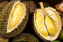 Giá sầu riêng hôm nay 31/10: Đồng loạt giảm 3.000 - 5.000 đồng/kg, thị trường chao đảo sau triều cường lịch sử