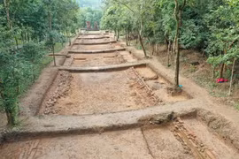 Lộ diện rõ nét con đường thiêng tại thánh địa Mỹ Sơn