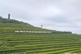 Hội Mùa vàng xã Lục Hồn: Khám phá ruộng bậc thang và trải nghiệm văn hóa Tày - Dao