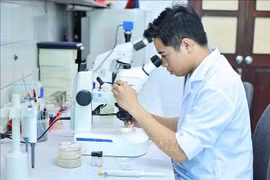 Ưu đãi “chưa từng có” dành cho nhà khoa học và kỹ sư trẻ tài năng