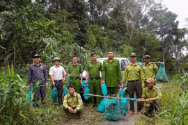 Gia Lai: Thả 8 cá thể động vật rừng quý hiếm về môi trường tự nhiên