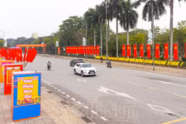 Hà Nam tổ chức nhiều hoạt động mừng Đảng, mừng Xuân Ất Tỵ 2025