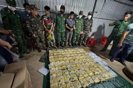 Tổng cục Hải Quan tham gia bắt giữ gần 300 vụ, thu giữ gần 2,3 tấn ma tuý các loại trong năm 2024