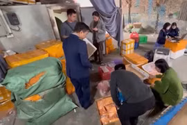 Thu giữ hơn hai tấn thực phẩm đông lạnh không giấy tờ