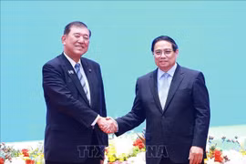 Việt Nam - Nhật Bản: Hiện thực hóa những định hướng chiến lược, mở ra một chương mới phát triển rực rỡ