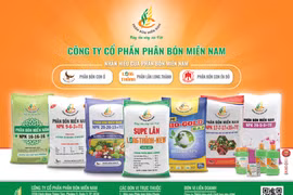Chuyển đổi xanh: Đích đến bền vững của Phân bón Miền Nam