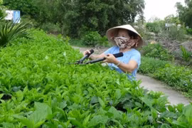 Cà Mau tạo bứt phá trong giảm nghèo bền vững