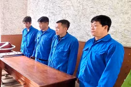 Quảng Ninh: Khai thác trái phép hơn 56.000 tấn đá đen, 5 đối tượng bị khởi tố