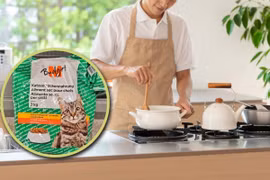Sinh viên Trung Quốc chia sẻ phải ăn thức ăn cho mèo để học tiến sĩ tại Thụy Sĩ