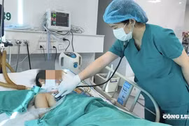Bé gái 11 tuổi mắc bệnh dại sau khi chó cưng chết bất thường
