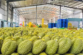 Ngăn chặn, xử lý vi phạm dư lượng hóa chất trong nông, lâm, thủy sản và truy xuất, xử lý tận gốc