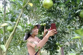 Thu hẹp khoảng cách số, chuyển đổi số bao trùm để không ai bị bỏ lại phía sau