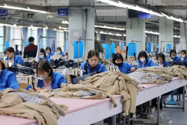 Vinatex lãi đột biến nửa đầu 2025 nhưng vẫn hoãn chuyển sàn và dừng chia cổ tức