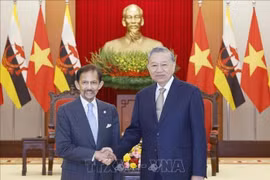 Tổng Bí thư Tô Lâm tiếp Quốc vương Brunei