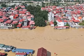 Bắc Ninh: ​Tổ phó ANTT hy sinh khi chống lũ lụt bảo vệ đê