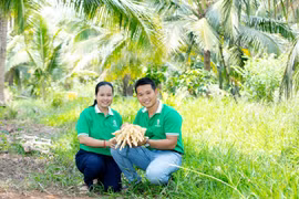 Sokfarm và hành trình “gieo mật” từ hoa dừa: Khởi nghiệp xanh bắt đầu từ điều gần gũi nhất
