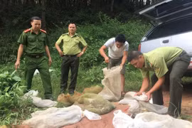 Lạng Sơn: Đẩy mạnh thực thi pháp luật về bảo tồn đa dạng sinh học