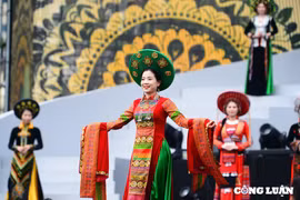 Ngắm những 'bông hồng thép' duyên dáng bên tà áo dài tại phố đi bộ hồ Gươm