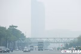 Cần lộ trình rõ ràng khi thực hiện thí điểm vùng phát thải thấp, hạn chế xe xăng