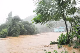 Lào Cai ban hành công điện hỏa tốc: Chủ động ứng phó với thiên tai nguy hiểm
