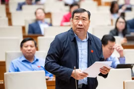 Đại biểu Quốc hội đề nghị không áp dụng cứng nhắc yêu cầu lập Quy hoạch chung xã, mà phân loại theo mức độ