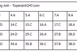 Điều chỉnh tăng thêm 3.714 tỷ đồng tổng mức đầu tư cao tốc Biên Hòa–Vũng Tàu giai đoạn 1