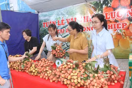Chủ tịch UBND tỉnh Bắc Giang gửi thư ngỏ về lan tỏa giá trị thương hiệu vải thiều