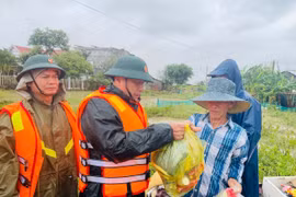 Thông báo Kết luận của Bộ Chính trị về khắc phục hậu quả mưa, lũ đặc biệt lớn ở miền Trung