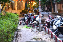 Hà Nội yêu cầu kiểm tra, xử lý phản ánh vườn hoa hoang tàn, xuống cấp tại phường trung tâm