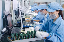 Doanh nghiệp công nghệ số Việt Nam: Cơ hội vươn mình mạnh mẽ