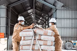Xử lý thông tin báo chí nêu 'các nhà máy xi măng thua lỗ, có nguy cơ dừng sản xuất'